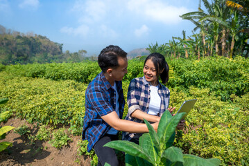 Poster - A man and a woman are looking at a tablet in a field