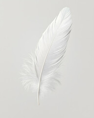 Wall Mural - White fluffy feather isolated on light grey background	