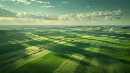 Poster - Present an aerial view of farmland during a clear day, with shadows of clouds drifting across the vast expanse of green