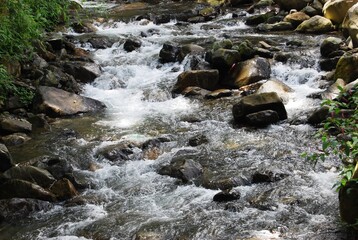 waterfall in the forest