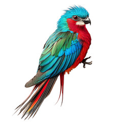 Naklejka na meble Colorful quetzal perched. on transparent background