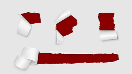 Poster - Torn paper holes with roll. Realistic vector illustration set of rip page frames. Reveal break cardboard sheet with grunge ragged edges with parchment scroll. Text and advertising message box.
