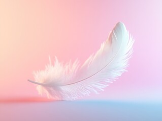 Wall Mural - White Feather Background