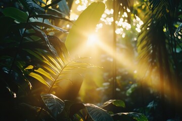 Canvas Print - Sunlight through tree leaves