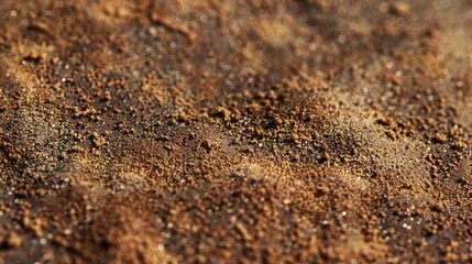 Wall Mural - A close up of a brown surface with a lot of dirt and sand