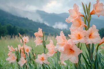 Wall Mural - Pink Flowers with Mountains