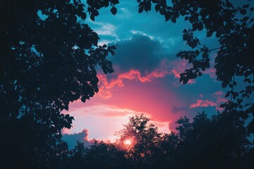 Wall Mural - sunset behind trees