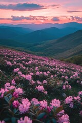 Wall Mural - Pink Flowers and Mountains