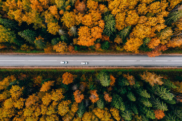 Wall Mural - Aerial view of asphalt road with cars and colorful fall autumn forest in rural Finland.