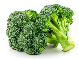 Wall Mural - Fresh broccoli stalks in a close-up view showcasing vibrant green florets on a white background