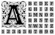 © ONYXprj - Decorative letters. Hand drawn ornate alphabet symbols numbers and letters recent vector vintage font