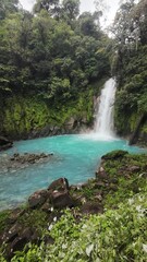 Wall Mural - Rio Celeste Waterfall in daytime in Tenorio Volcano National Park in Guatuso, Costa Rica