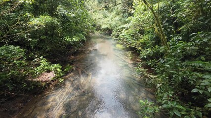 Sticker - Celeste River flowing through the dense greenery in Tenorio Volcano National Park of Costa Rica