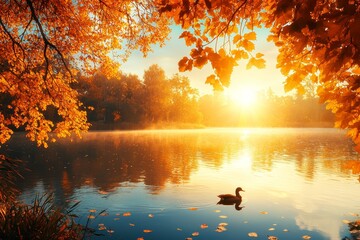 Poster - In autumn, colorful trees with a lake make a beautiful landscape photograph