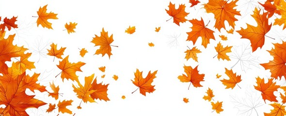 Poster - Autumn maple tree foliage in golden orange brown isolated against a flat background.