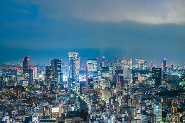 Canvas Print - 日本の首都東京の夜景