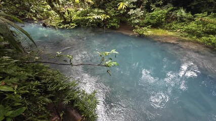 Poster - Scenic view of the Celeste River flowing in Tenorio Volcano National Park in Guatuso, Costa Rica