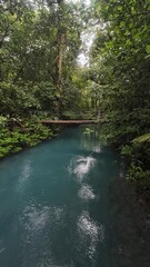 Sticker - Celeste River flowing through the dense greenery in Tenorio Volcano National Park of Costa Rica