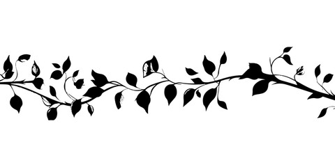 Wall Mural - Black and white vector line drawing of simple vines on a pure white background