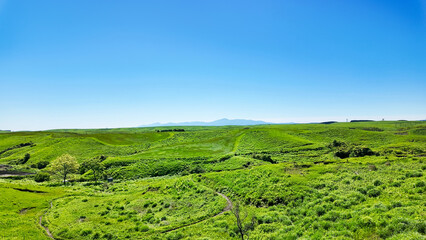 Poster - 広大な草原の風景