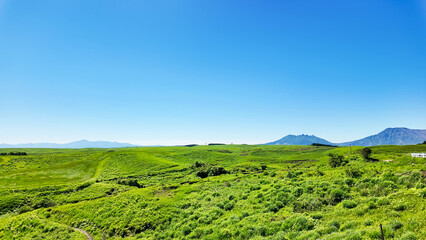 Poster - 広大な草原の風景