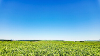 Poster - 広大な草原の風景