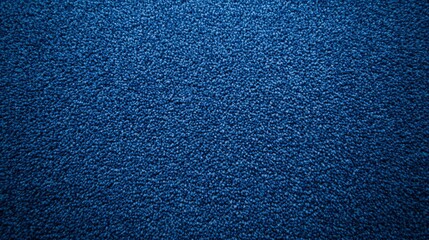 Wall Mural - The carpet is dark blue and has a pattern and texture displayed in the text