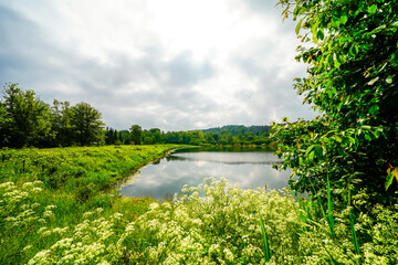 View of the landscape at the Oesenteich near Menden. Nature in the Sauerland.
