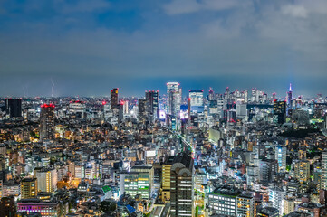 Wall Mural - 東京の夜景と雷