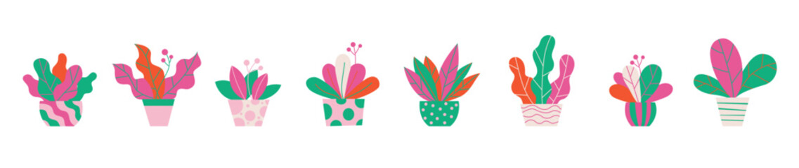 Wall Mural - set of colorful flowers in pots, home and office interiors, indoor decor. home grown flowers, simple