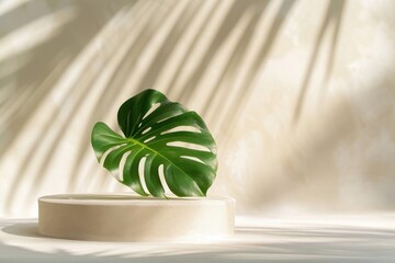 Wall Mural - Luxury background leaf plant freshness.