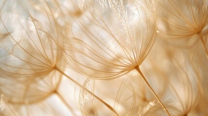 Aufkleber - Delicate dandelion seeds float gracefully through the air, catching the sunlight in a tranquil outdoor environment