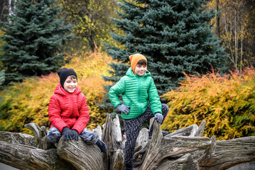 Wall Mural - Two boys sitting on a tree stump in the autumn forest and lookin