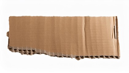 Wall Mural - piece of brown cardboard with torn edges on isolated background