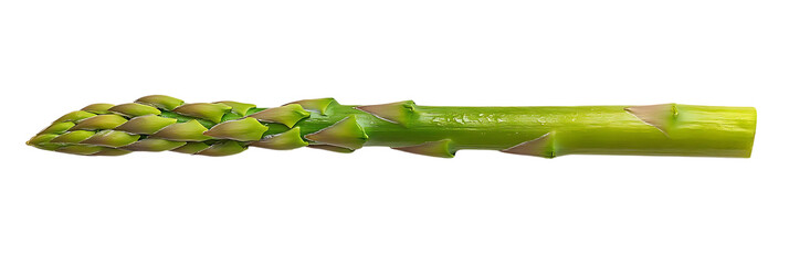 Poster - Asparagus Spear with Transparent Background, a Green Vegetable for a Healthy Diet