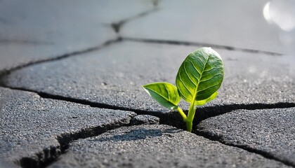 green sprout emerging from asphalt a resilient green sprout pushing through the cracks in the asphalt symbolizing hope and nature s perseverance