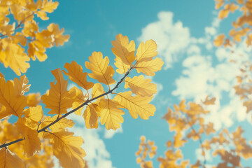 Poster - Autumn Leaves At Sky Background