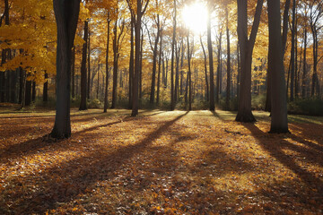 Canvas Print - Autumn Woods