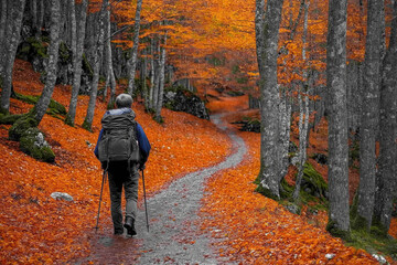 Canvas Print - Hiking Autumn