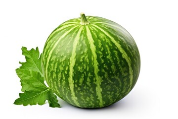 Sticker - Watermelon fruit plant green.