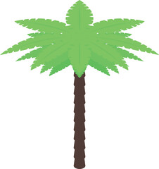 Canvas Print - Green palm tree growing under sunlight, isometric style icon