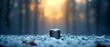 © Viktor - Acan of beer atop a snowy mound, amidst a forest deeply blanketed in snow