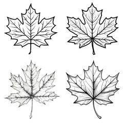 a collection of outlined maple leaves ready for coloring, showcasing intricate designs for artistic 