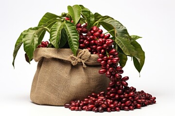 Wall Mural - Bag coffee food tree.