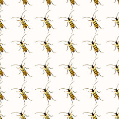 Seamless pattern with yellow beetles  on white background