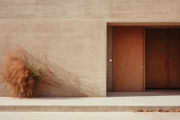 Poster - House plant door wood.