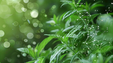 Wall Mural - Plants with a biochemistry structure overlay, DNA helix visible, on a green background, merging biology and chemistry