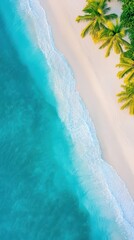 Wall Mural - Aerial of a tranquil beach at sunrise with gentle waves washing over the shore and palm trees lining the edge of the sand