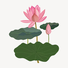 Poster - lotus illustration vector