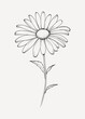 © Rawpixel.com - Simple daisy flower line drawing